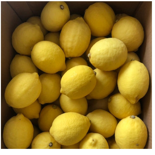 Chanh vàng nhập khẩu từ Mỹ