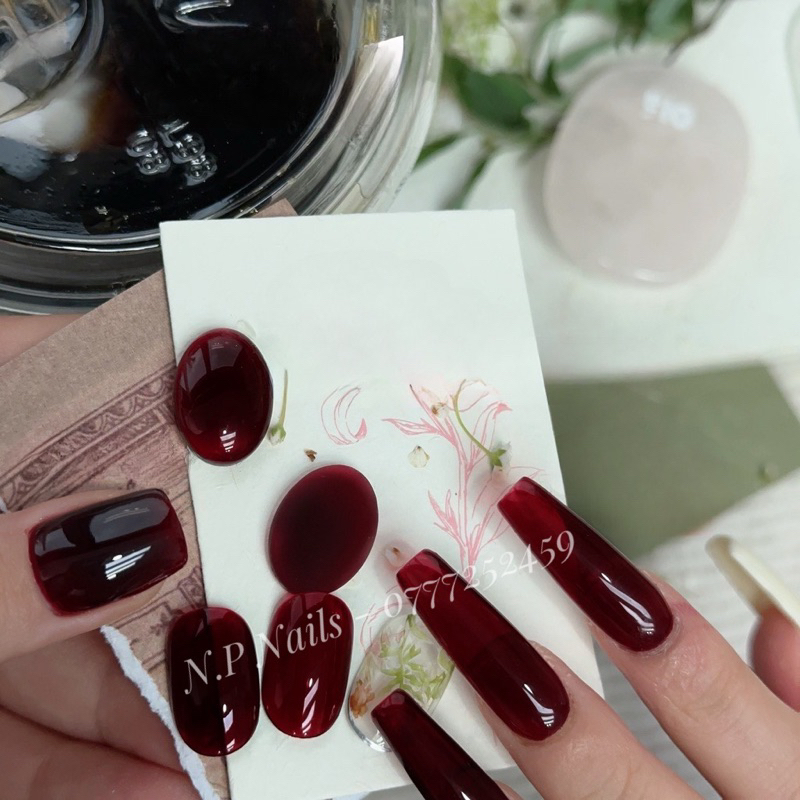 Sơn thạch gel màu đỏ Vang chính hãng siêu mướt bao test chất sơn Led/UV N.P Nails