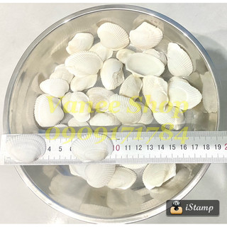 Vỏ sò lông 100gr