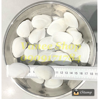 Vỏ sò lông 100gr