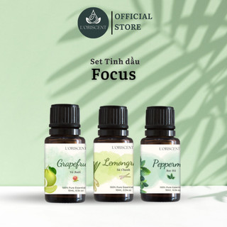 Set tinh dầu Tập Trung Focus L'ORISCENT thiên nhiên nguyên chất 100% gồm 3 loại tinh dầu chai 10ml