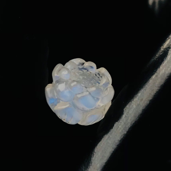Hạt Charmed Sen đá Mặt Trăng Moonstone Phụ kiện cao cấp