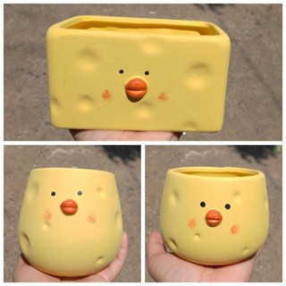 [BẢO HÀNH BỂ VỠ] Bộ chậu mini gà phô-mai trồng sen đá, xương rồng, cây cảnh trang trí bàn làm việc, vườn