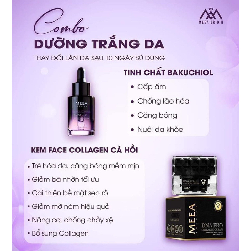 Combo Kem Face Cá Hồi PLUS Và Tinh Chất BAKUCHOIL Meea