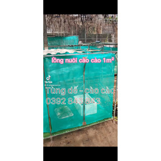Lồng lưới nuôi cào cào cốm cho chim