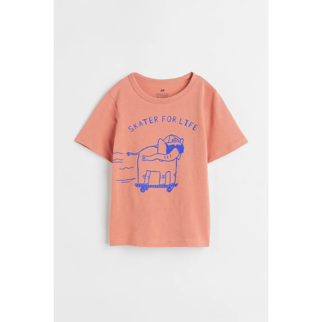 Áo phông ngựa vằn tê giác xám anchor cam HM H&M_hàng chính hãng authentic