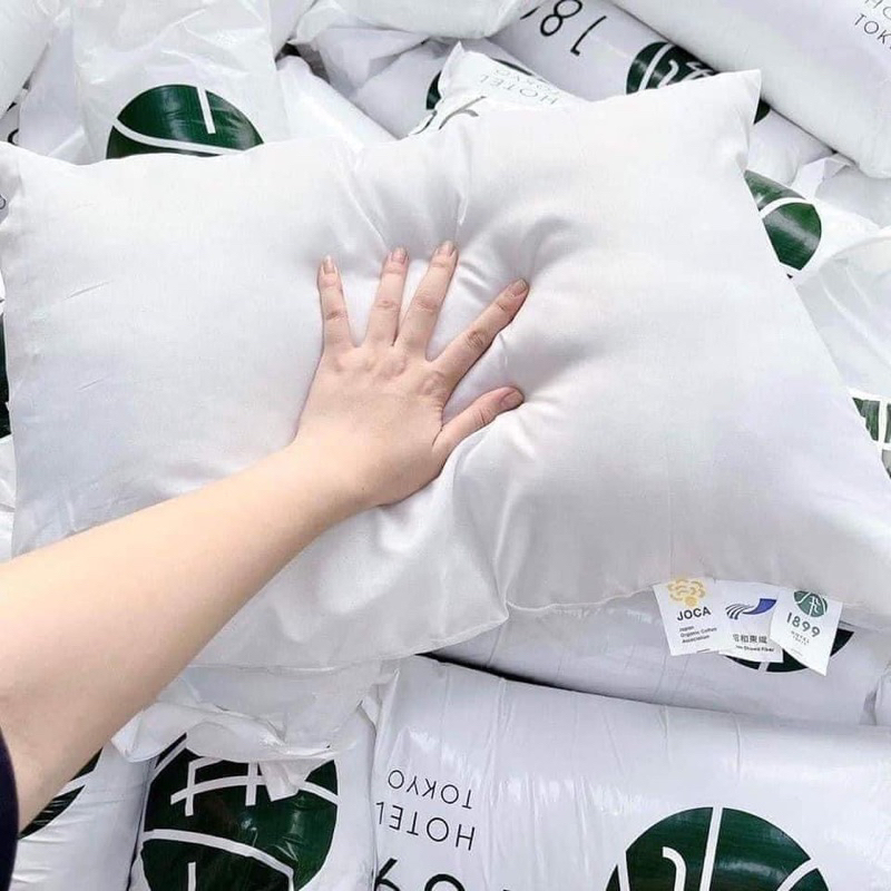 Gối lông vũ 1899 (2 chiếc)