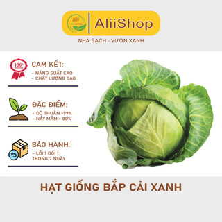 Hạt giống bắp cải xanh năng suất cao 1gram