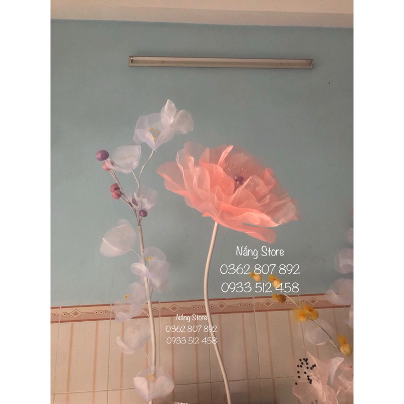 Set hoa và nụ decor xinh yêu