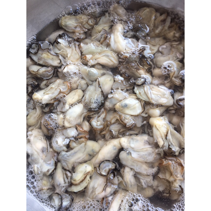 Hào sữa/Hàu sữa tươi sống trong ngày tách vỏ sẵn 500g - 300g - 100g