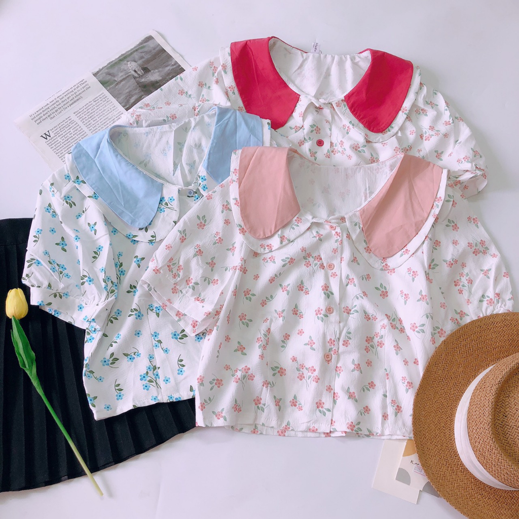 Áo Kiểu Tay Ngắn Cổ Phối Màu Chất Voan Lụa Mát Mẫu 3 - Jancaroshop