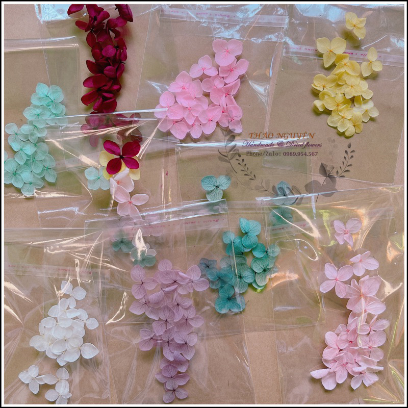 Set hoa khô mix theo tông màu❤️hoa khô nguyên liệu trang trí nến thơm, sáp thơm, resin, làm thiệp, nguyên liệu thủ công