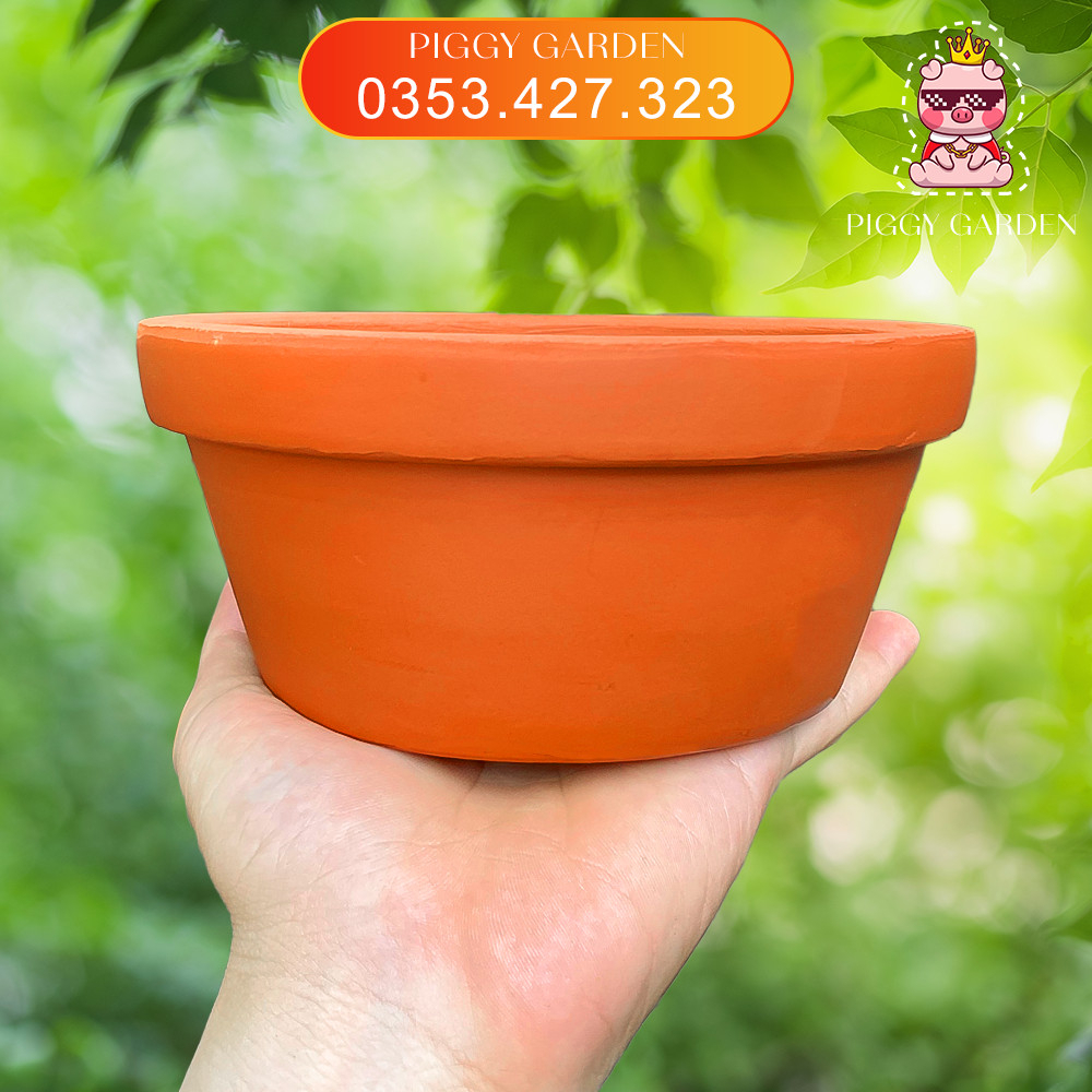 Chậu đất nung - Chậu trồng sen đá, xương rồng - Chậu thau trung miệng 16cm, cao 7cm