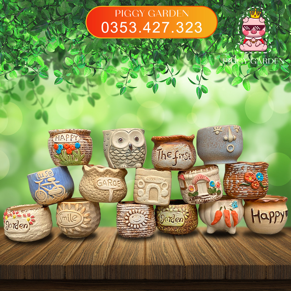 Chậu gốm trồng sen đá, xương rồng mini (combo 5 chậu, inbox để chọn mẫu)