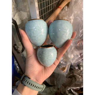 Cóng mi choè vân mây miệng vàng