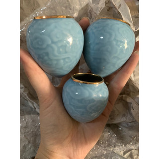 cóng mi choè vân mây miệng vàng