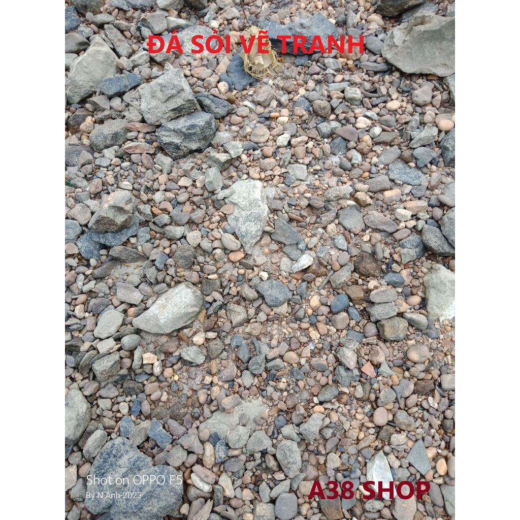 Đá sỏi vẽ tranh loại dẹt từ 3-6 cm  giá 25000 đ/1kg