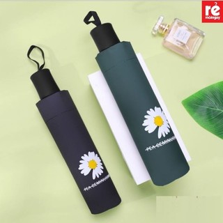 DÙ 2 CHIỀU TỰ XẾP HOA CÚC CAO CẤP