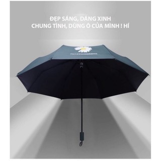 DÙ 2 CHIỀU TỰ XẾP HOA CÚC CAO CẤP