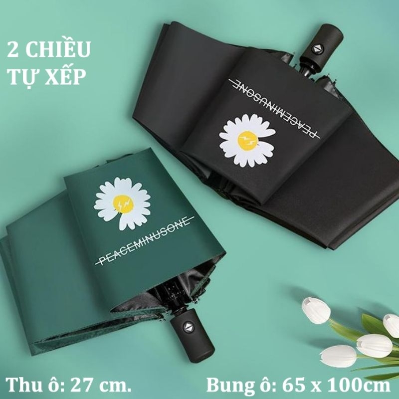 DÙ 2 CHIỀU TỰ XẾP HOA CÚC CAO CẤP