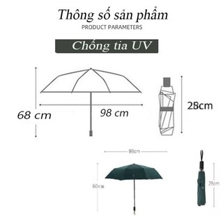 DÙ 2 CHIỀU TỰ XẾP HOA CÚC CAO CẤP
