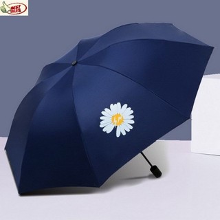 DÙ 2 CHIỀU TỰ XẾP HOA CÚC CAO CẤP