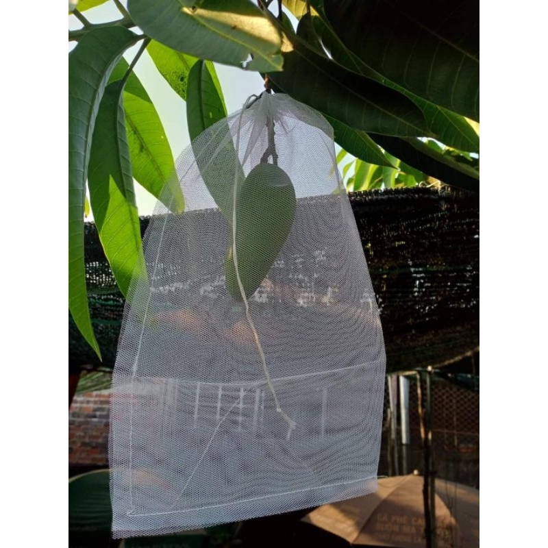 100 Túi Bao Xoài, Na LƯỚI MÙNG 20x30
