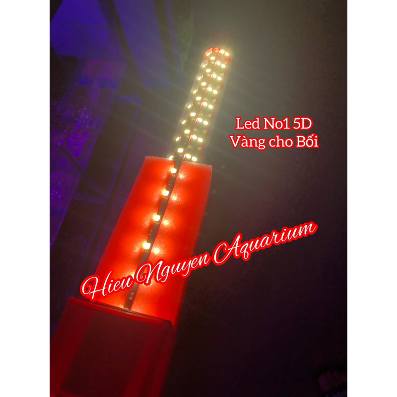 LED NO1 5D Đèn vàng cho bối