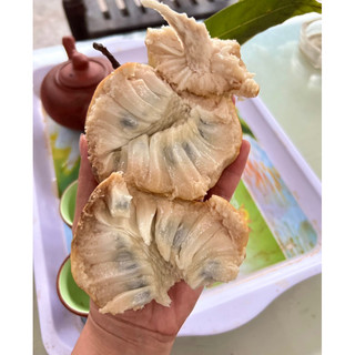Giống Na Rừng Siêu Thơm