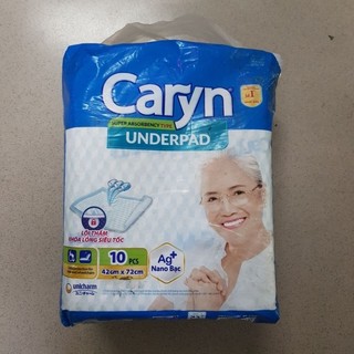 (THANH LÝ) Tả quần/Tả dán Người Lớn Caryn Mỏng Nhẹ (M8/L7)