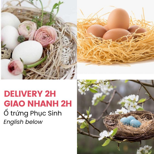 Combo Trứng Phục Sinh Và Ổ Rơm Trang Trí Lễ Phục Sinh - Easter Egg and Nest Set For Easter Decorations LPS05