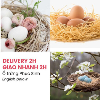 Ổ rơm trứng lễ phục sinh - easter nest eggs lps05