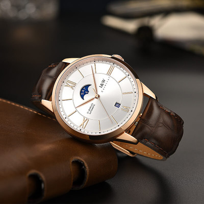 Đồng hồ nam chính hãng I&W Carnival 528G-D1 Kính chống xước,Chống nước ,BH 24 tháng,Máy cơ (Automatic),Dây da nâu xịn