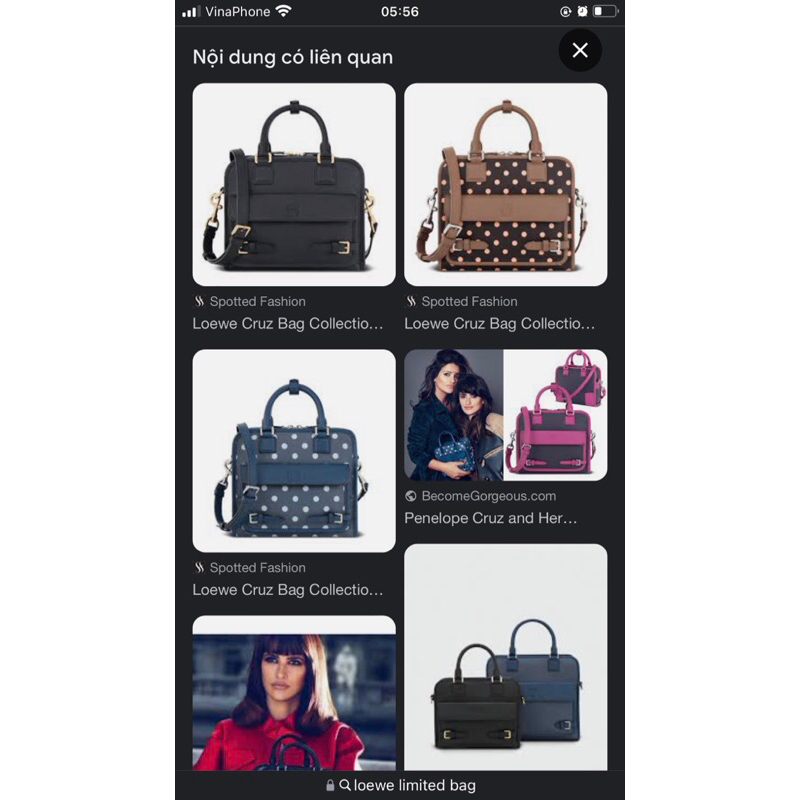 Túi loewe chính hãng 30cm