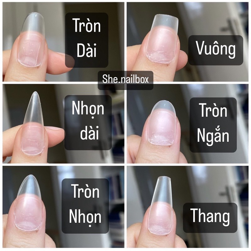 Nailbox tráng gương bóng nhiều màu
