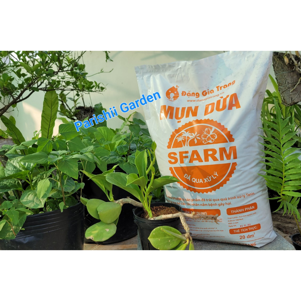 Sơ dừa, Mụn dừa đã xử lý SFARM bao 20 dm3 nặng khoảng 4.4kg