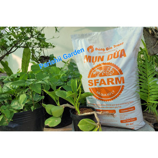 Sơ dừa, mụn dừa đã xử lý sfarm bao 20 dm3 nặng khoảng 4.4kg