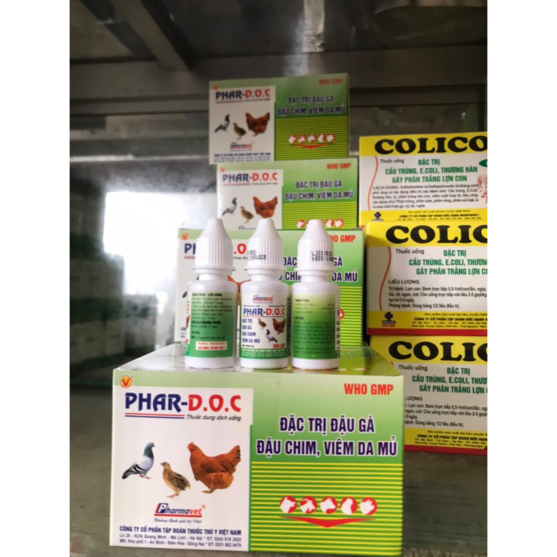 phar d.o.c 10ml đậu gà đậu chim