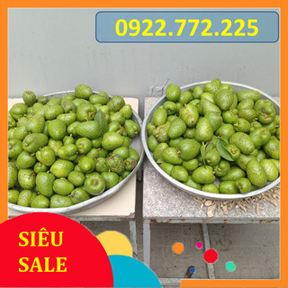 Trái Bình Bát tươi 1kg