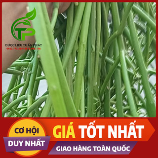 Cây Xương Cá tươi 1kg cây sương cá