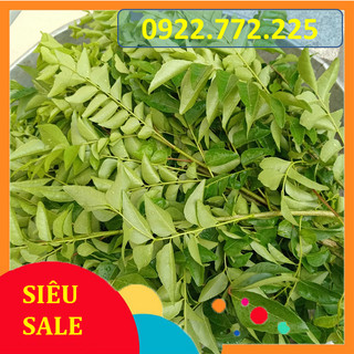 1kg Lá Cà Ri tươi