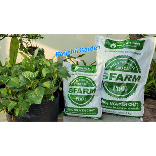 ( từ Q9 ) Phân trùn quế SFARM, bao 5kg