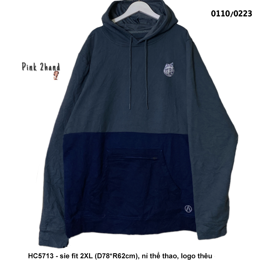 Áo Hoodie 2hand nhập Mỹ Oversize nữ, nam, chất dày, size lớn, form rộng - 110122-1