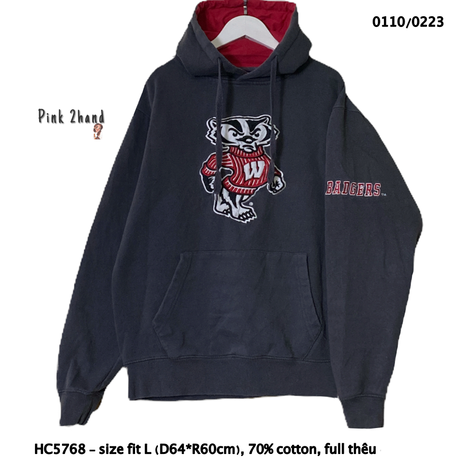 Áo Hoodie 2hand nhập Mỹ Oversize nữ, nam, chất dày, size lớn, form rộng - 110122-1
