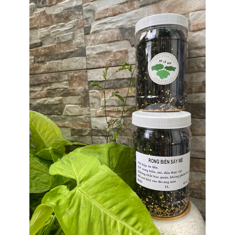 RONG BIỂN SẤY MÈ