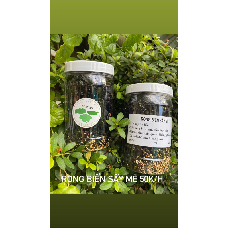 RONG BIỂN SẤY MÈ