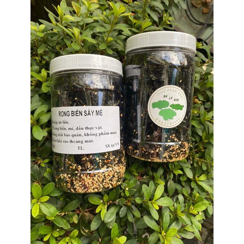 RONG BIỂN SẤY MÈ