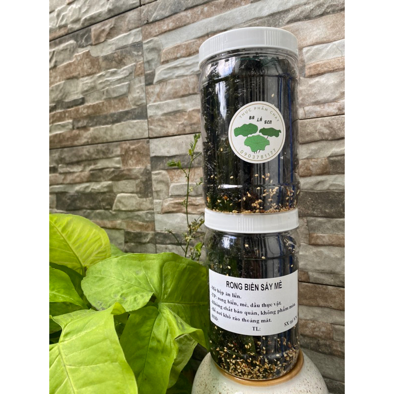 RONG BIỂN SẤY MÈ