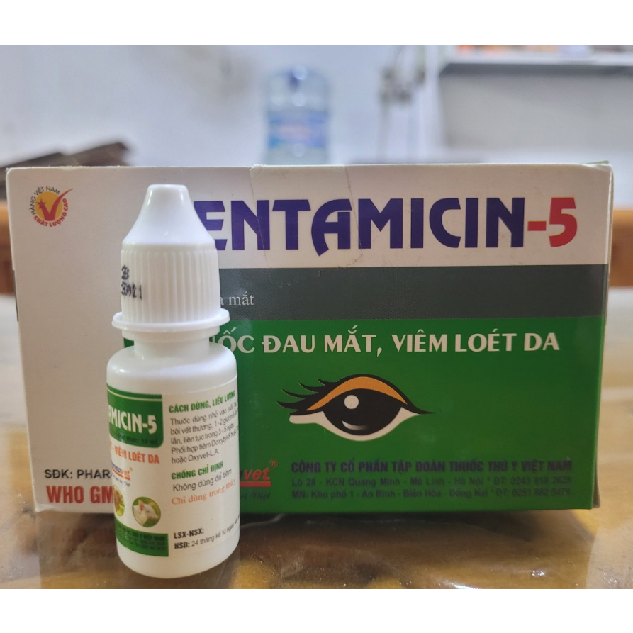 Gentamycin 10ml và 50ml- Đau mắt, viêm loét da, mụn nhọt