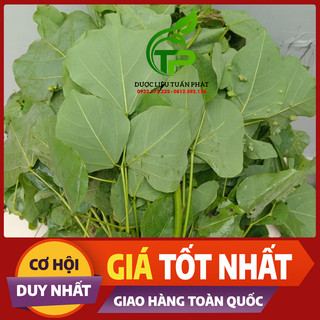 Lá vông tươi -1kg
